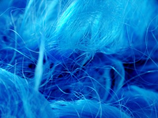 Photograph by AndreasLinden (https://pixabay.com/en/wig-hair-blue-close-carnival-816022/)